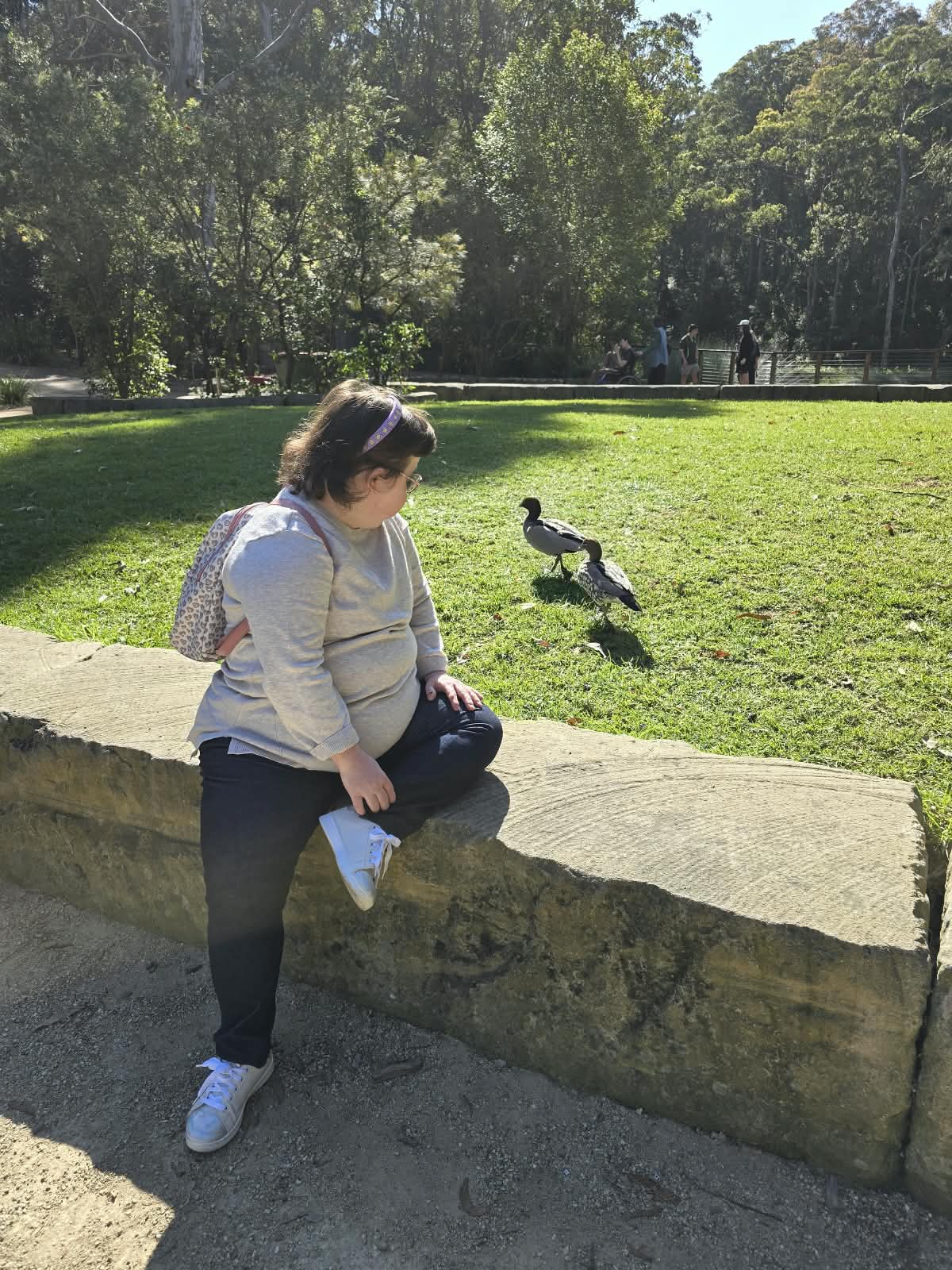 A young woman sitting on a stone wall at the park, watching two ducks on the grass